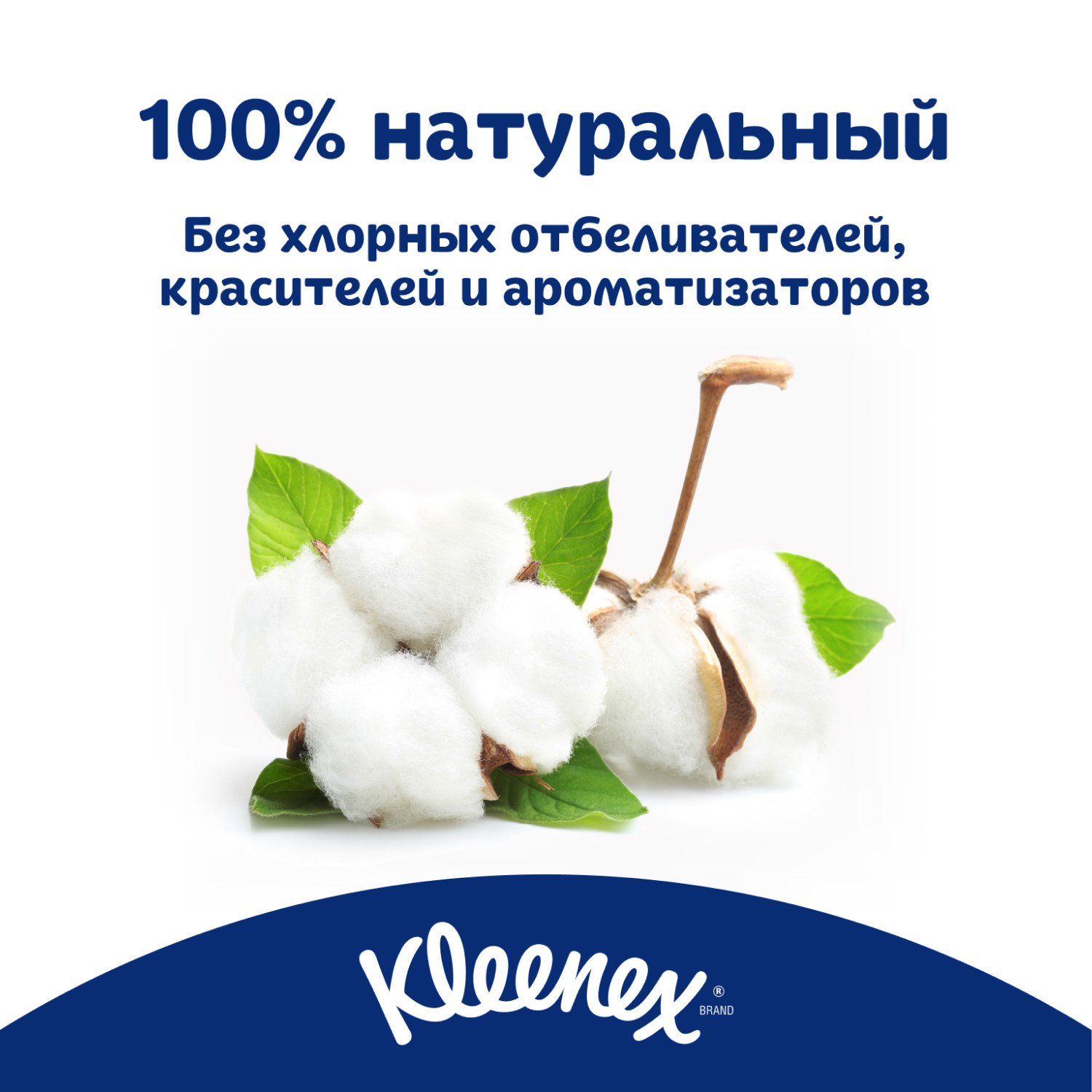 Туалетная бумага Kleenex Нежная ромашка 3 слоя 8 рулонов