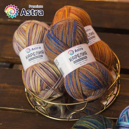 Пряжа для вязания Astra Premium карелия носочная шерсть нейлон 100 гр 400 м цвет 1003 2 мотка