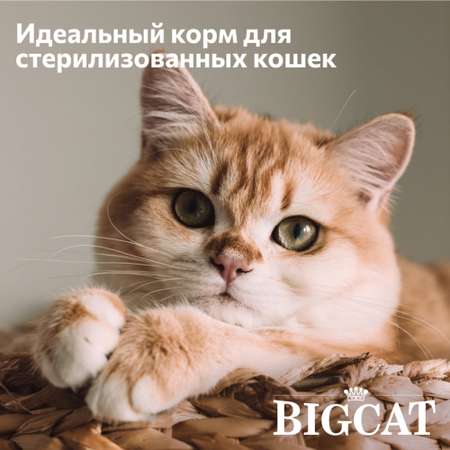 Корм сухой Зоогурман для взрослых кошек Big cat Рыба MIX 5 кг