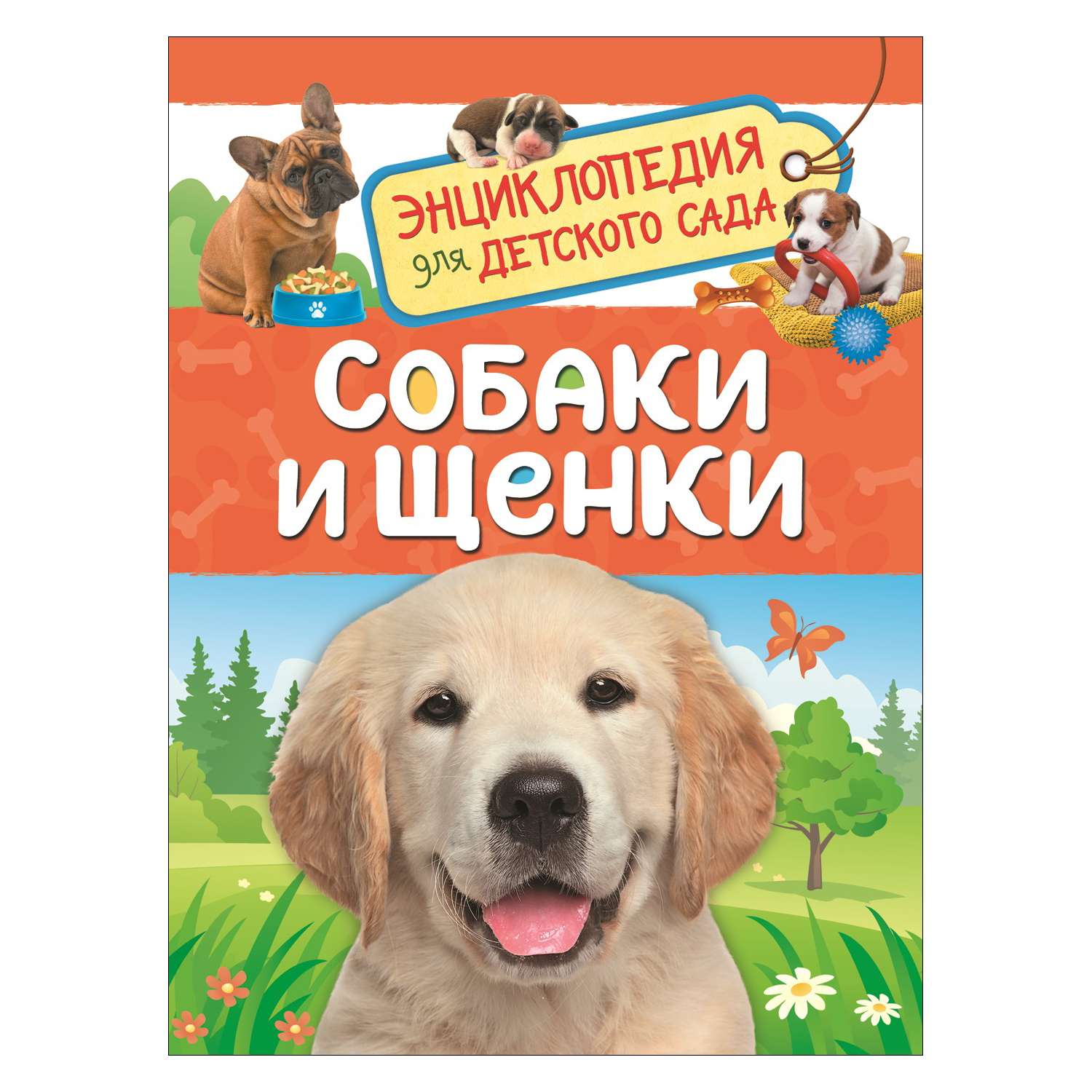 Книга Росмэн Собаки и щенки Энциклопедия для детского сада - фото 1