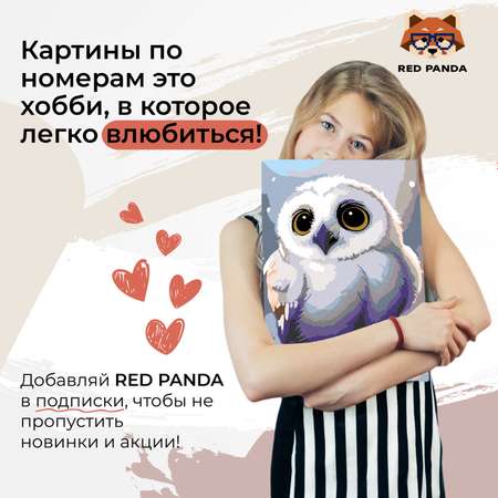 Картина по номерам Red Panda Маленькая сова