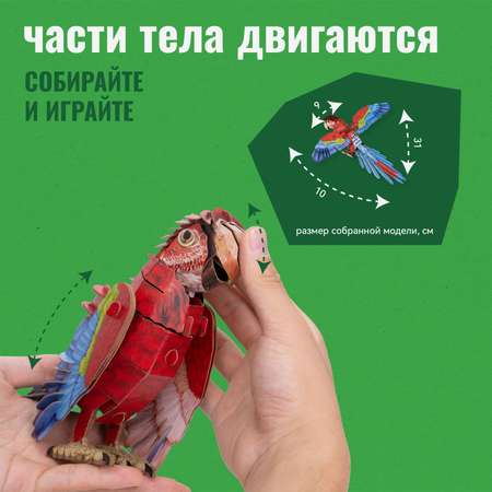 Картонный 3д пазл конструктор Makebug Попугай Ара