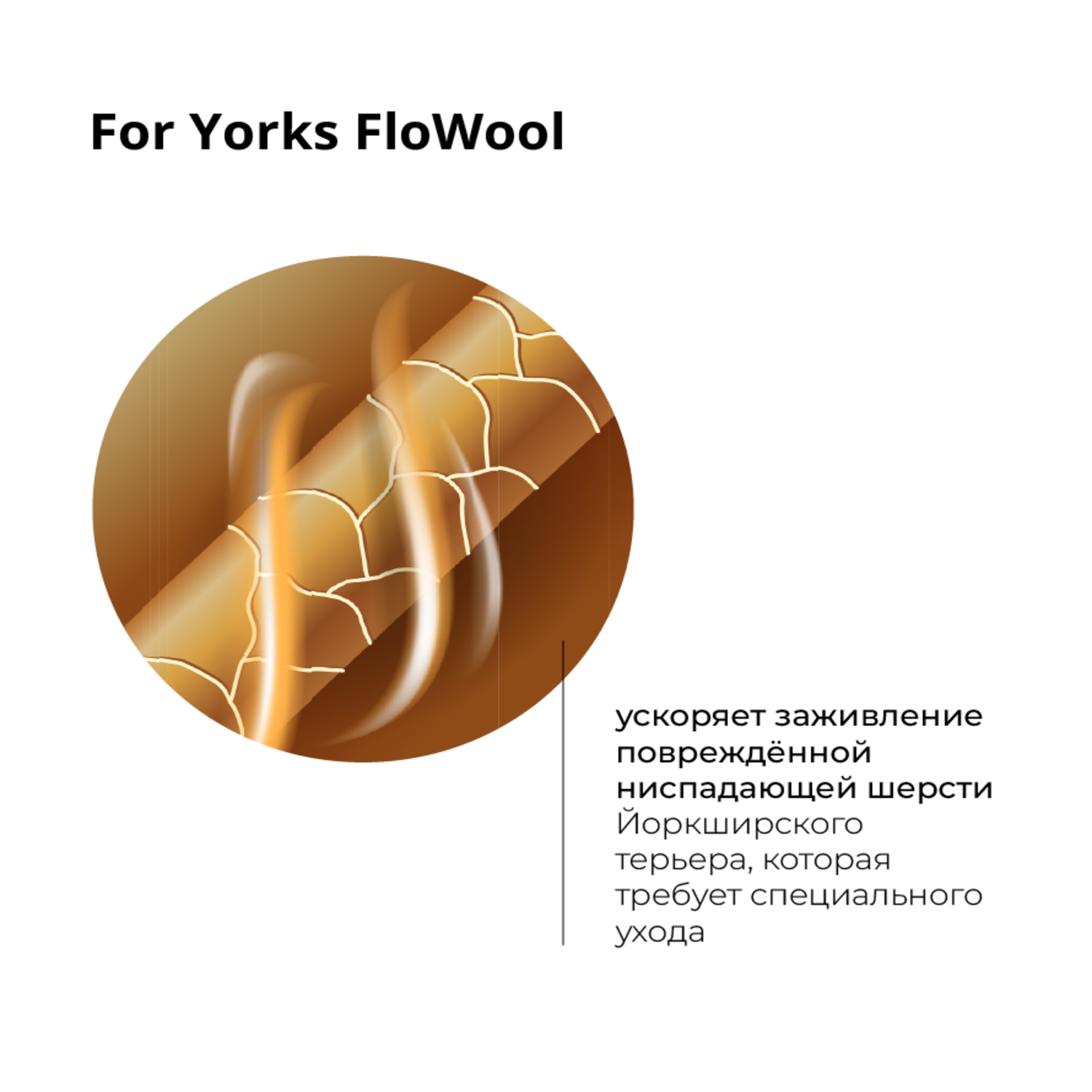 Шампунь for Yorks FloWool ProAnimal для йорков профессиональный увлажняющий для собак - фото 4