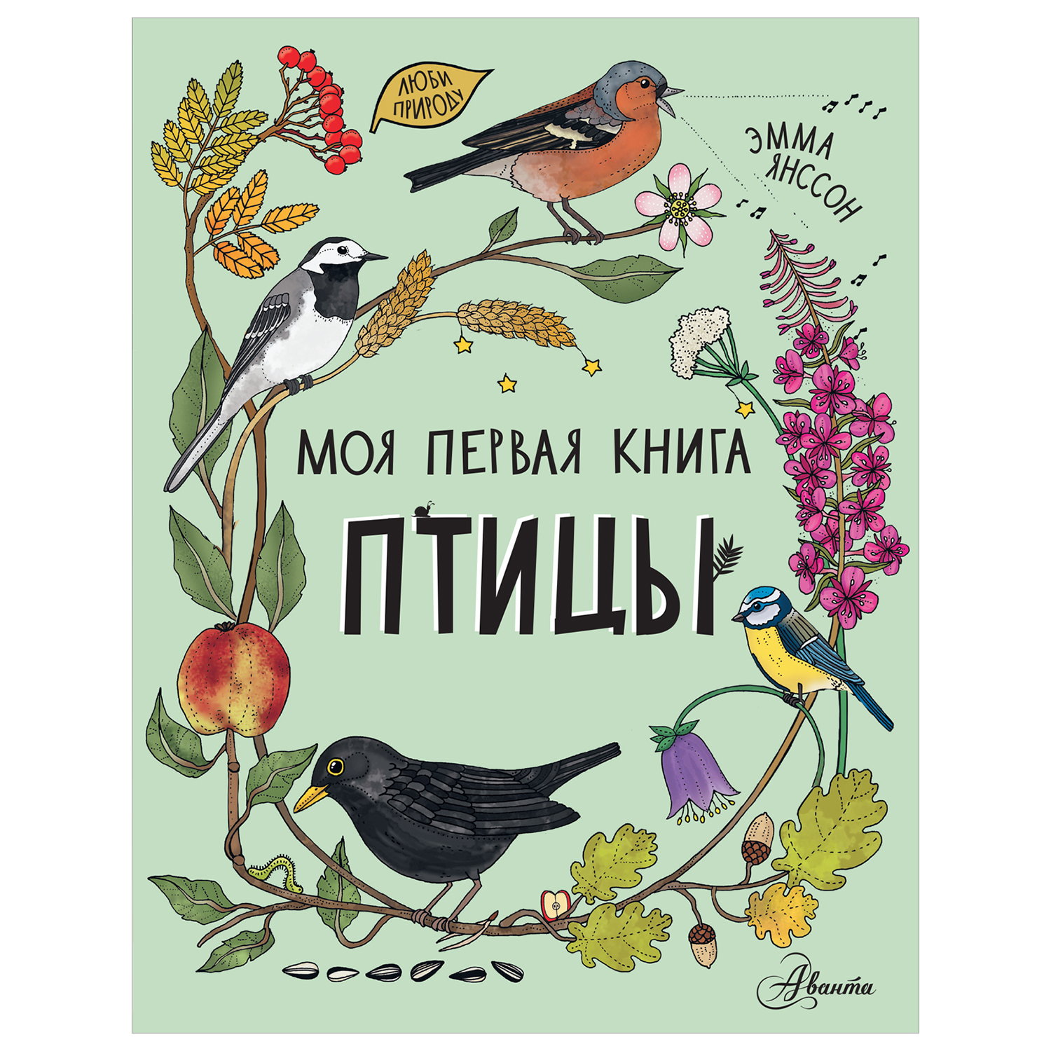 Книга Моя первая книга Птицы - фото 1