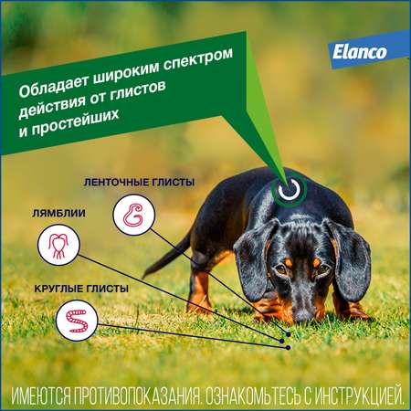 Таблетки для собак Elanco Дронтал плюс против глистов XL 2таблетки