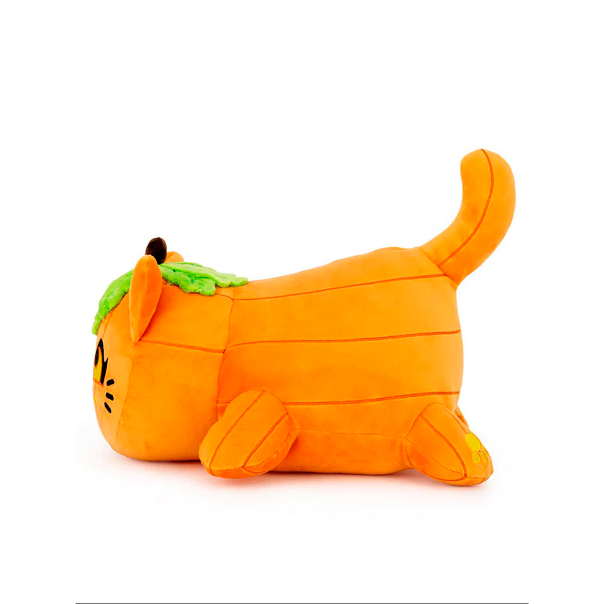 Кот тыква