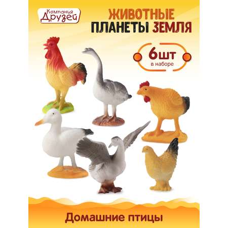 Игровой набор детский КОМПАНИЯ ДРУЗЕЙ Домашние птицы фигурки 6 шт JB0207201