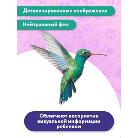 Книга Феникс Премьер Птицы. Фотоброшюра 0+