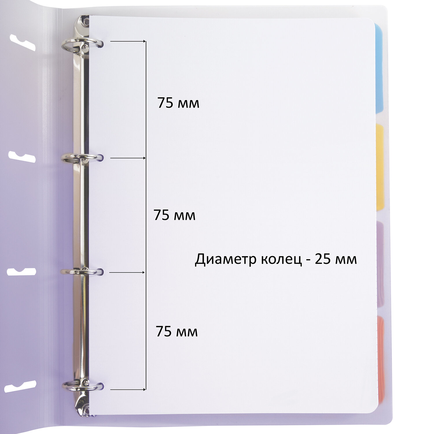 Тетрадь на кольцах Brauberg А4 со сменным блоком большая 120 листов с разделителями - фото 5