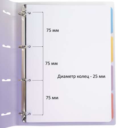 Тетрадь на кольцах Brauberg А4 со сменным блоком большая 120 листов с разделителями