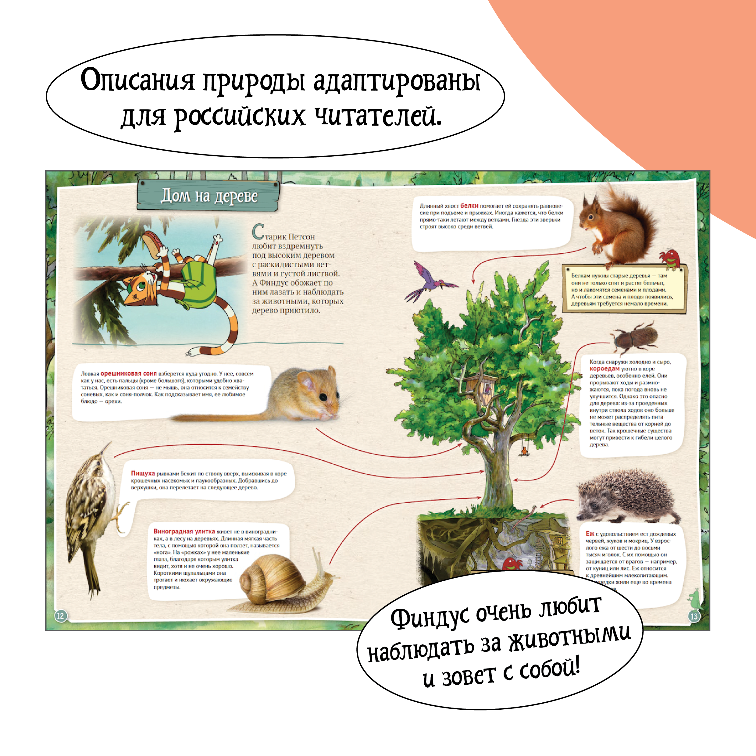 Книга ALBUS CORVUS Петсон и Финдус изучают животных - фото 4