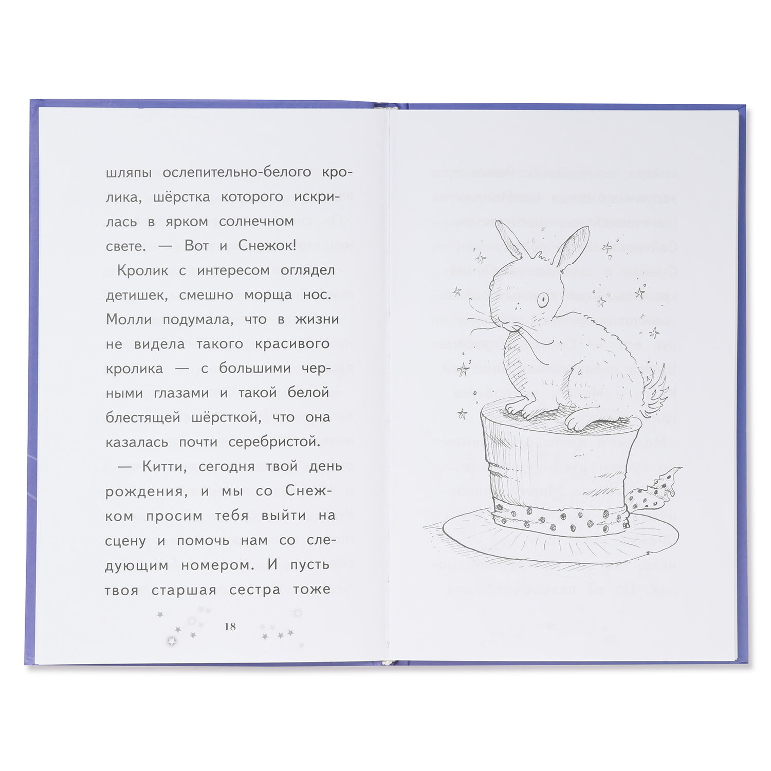 Книга Эксмо Молли маленькая волшебница Кролик-невидимка - фото 3