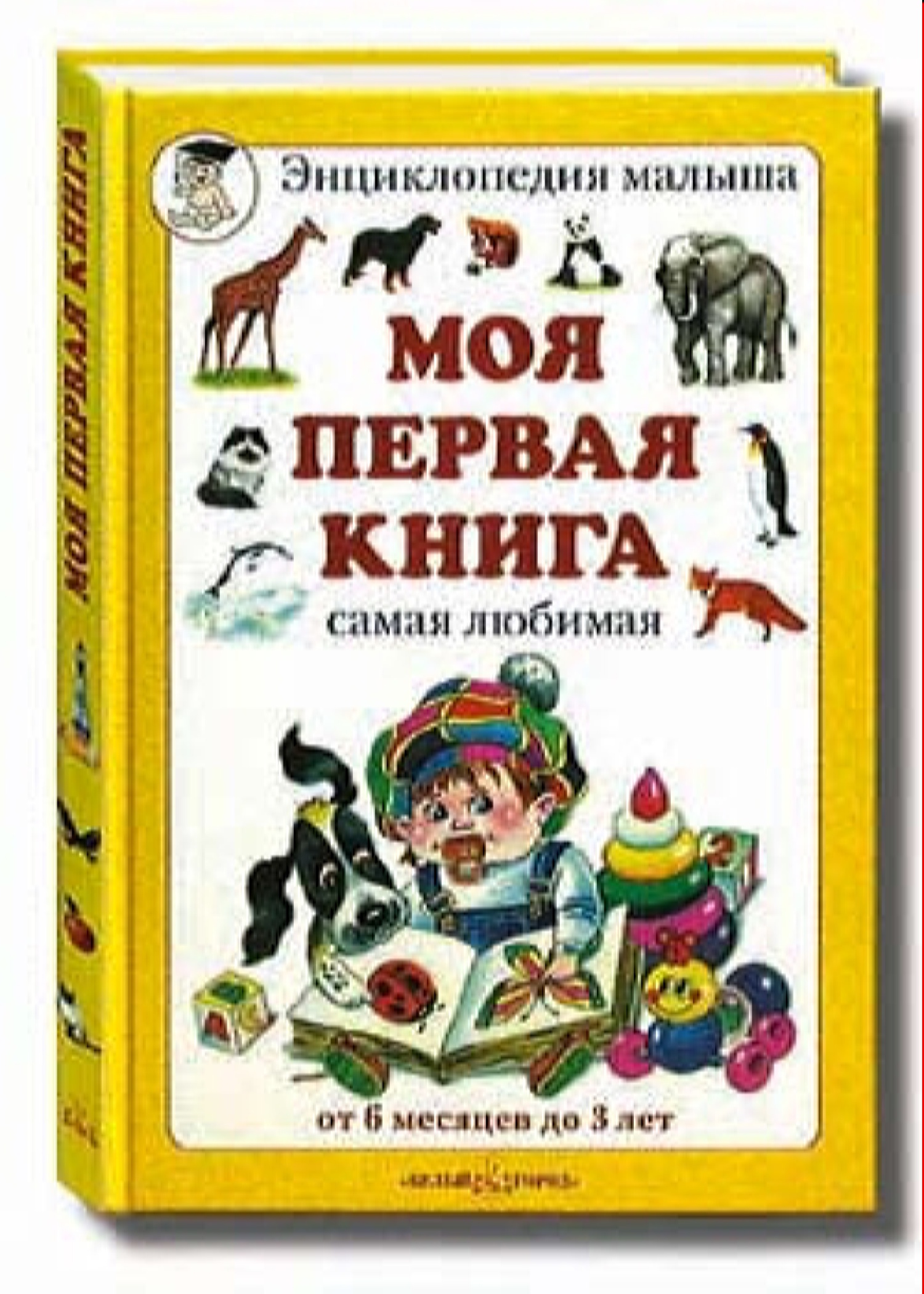 Книга Белый город Моя первая книга - фото 1