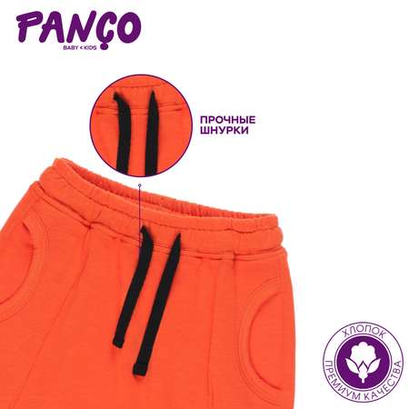 Шорты PANCO