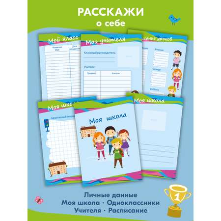 Листы-вкладыши для портфолио SCHOOLFORMAT младшие классы светло-голубой А4 30 листов универсальные