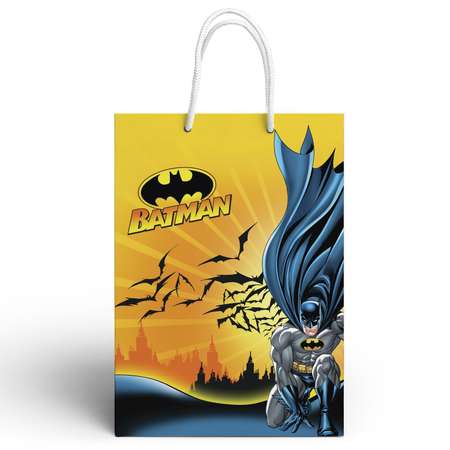 Пакет подарочный ND PLAY Batman №1 25*35*10см 286625