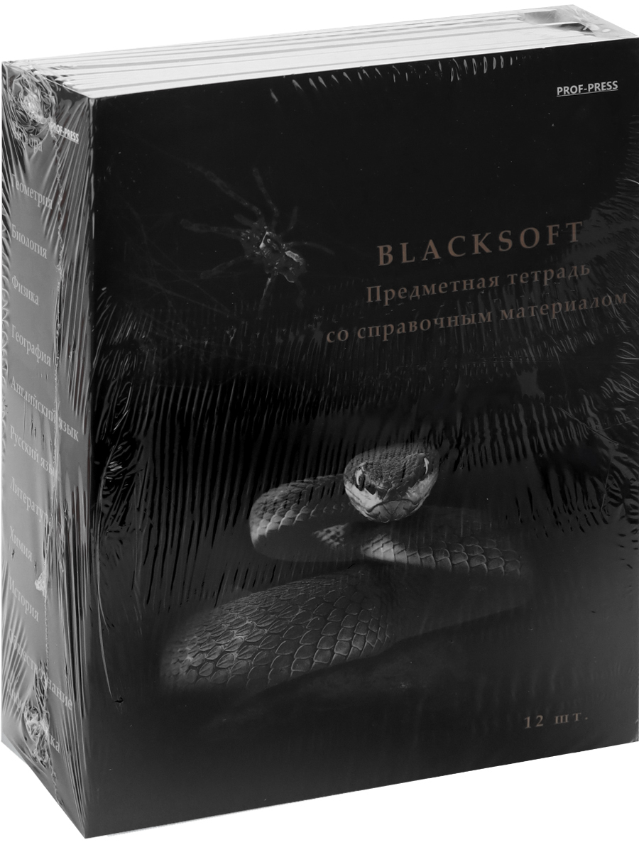 Набор предметных тетрадей Prof-Press blacksoft 48 листов в комплекте 12 штук - фото 16