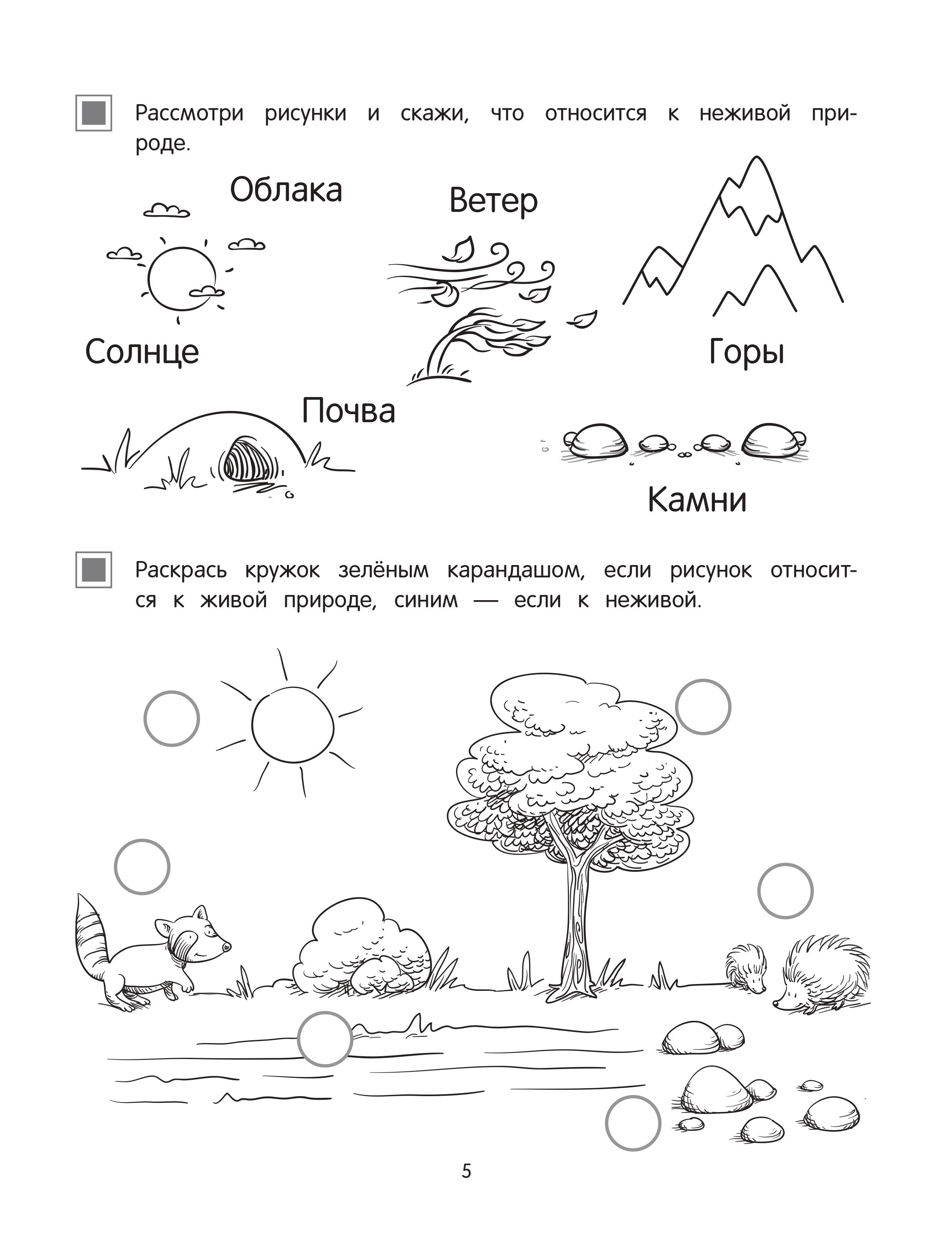 Книга Эксмо Мир вокруг - фото 4