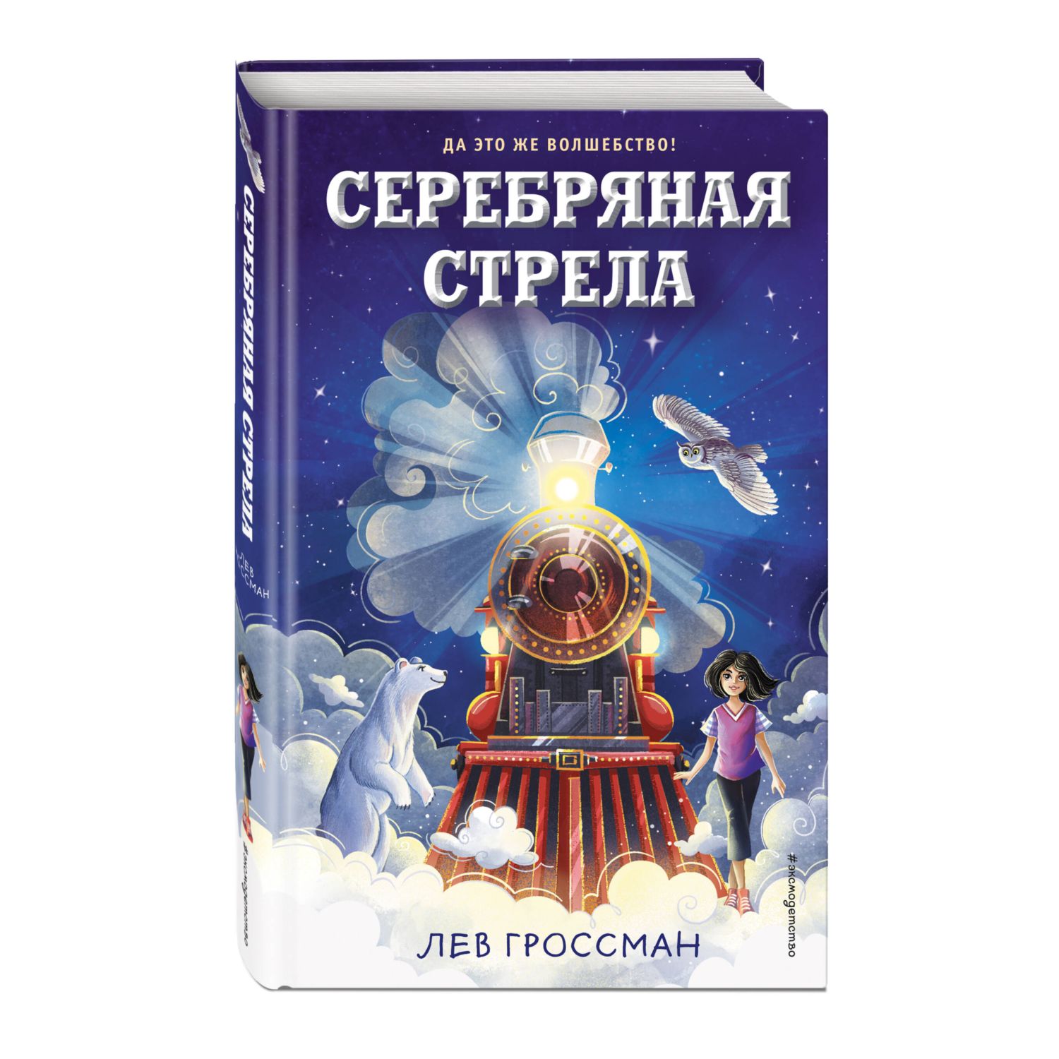 Книга Серебряная Стрела Фэнтези для подростков - фото 1