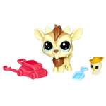 Парочки петов Littlest Pet Shop Квинси (E0464)