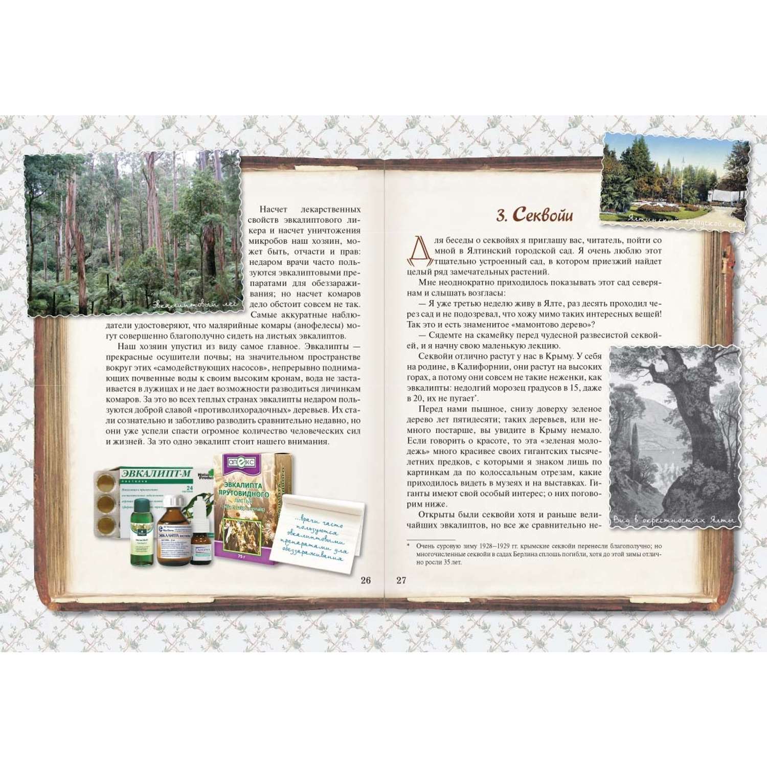 Книга Белый город Занимательная ботаника - фото 2