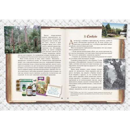 Книга Белый город Занимательная ботаника