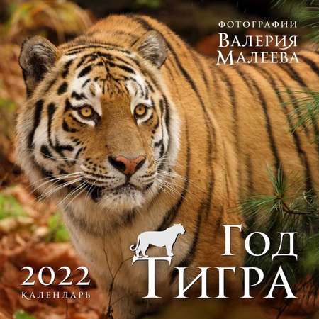 Календарь Эксмо настенный 2022