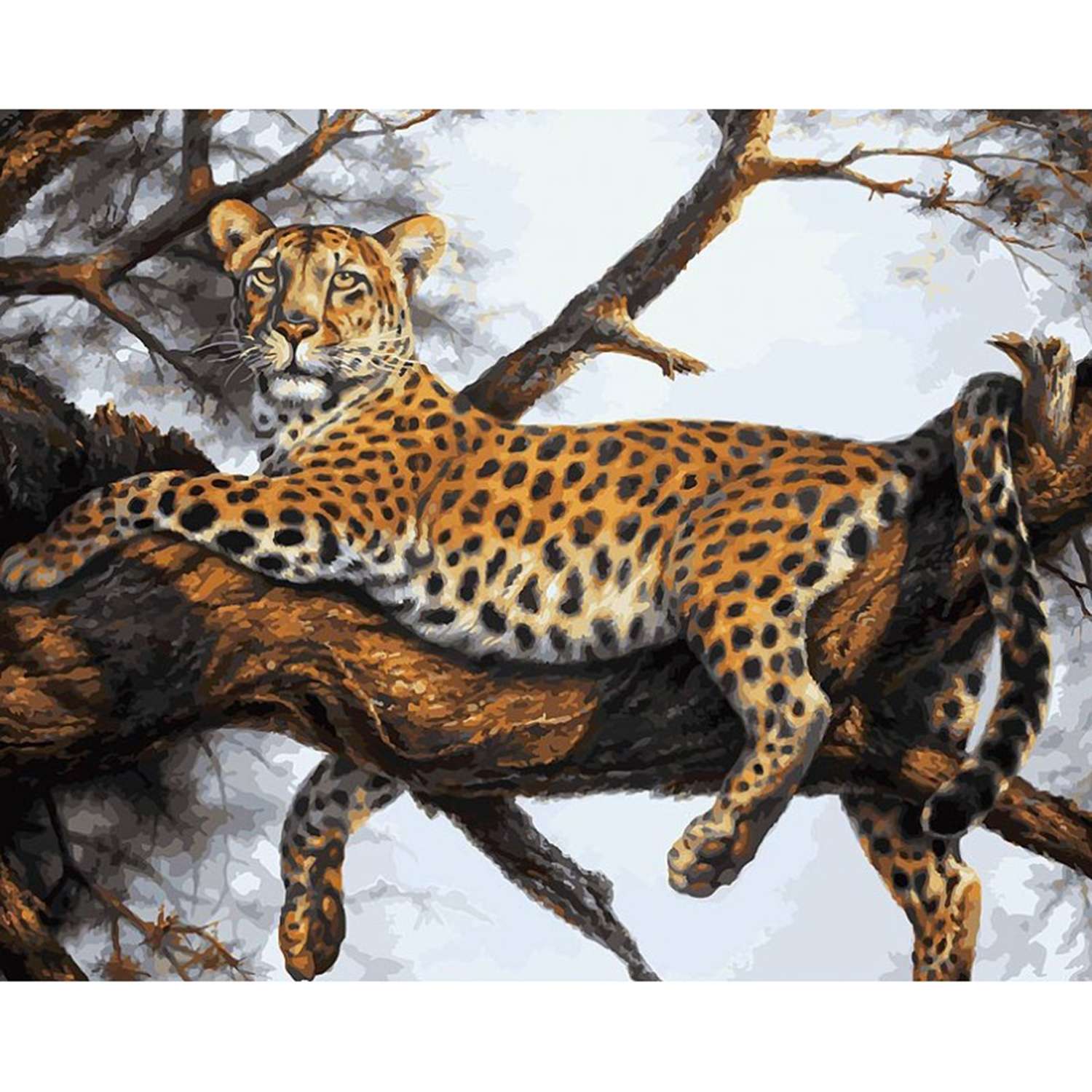Картина по номерам на холсте Белоснежка Леопард на отдыхе 170-AB 40х50 см. - фото 1