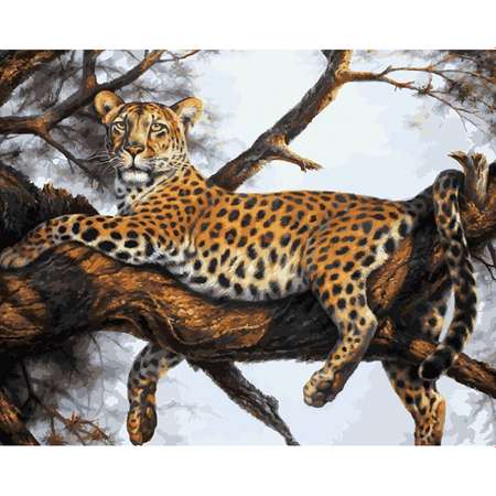 Картина по номерам на холсте Белоснежка Леопард на отдыхе 170-AB 40х50 см.