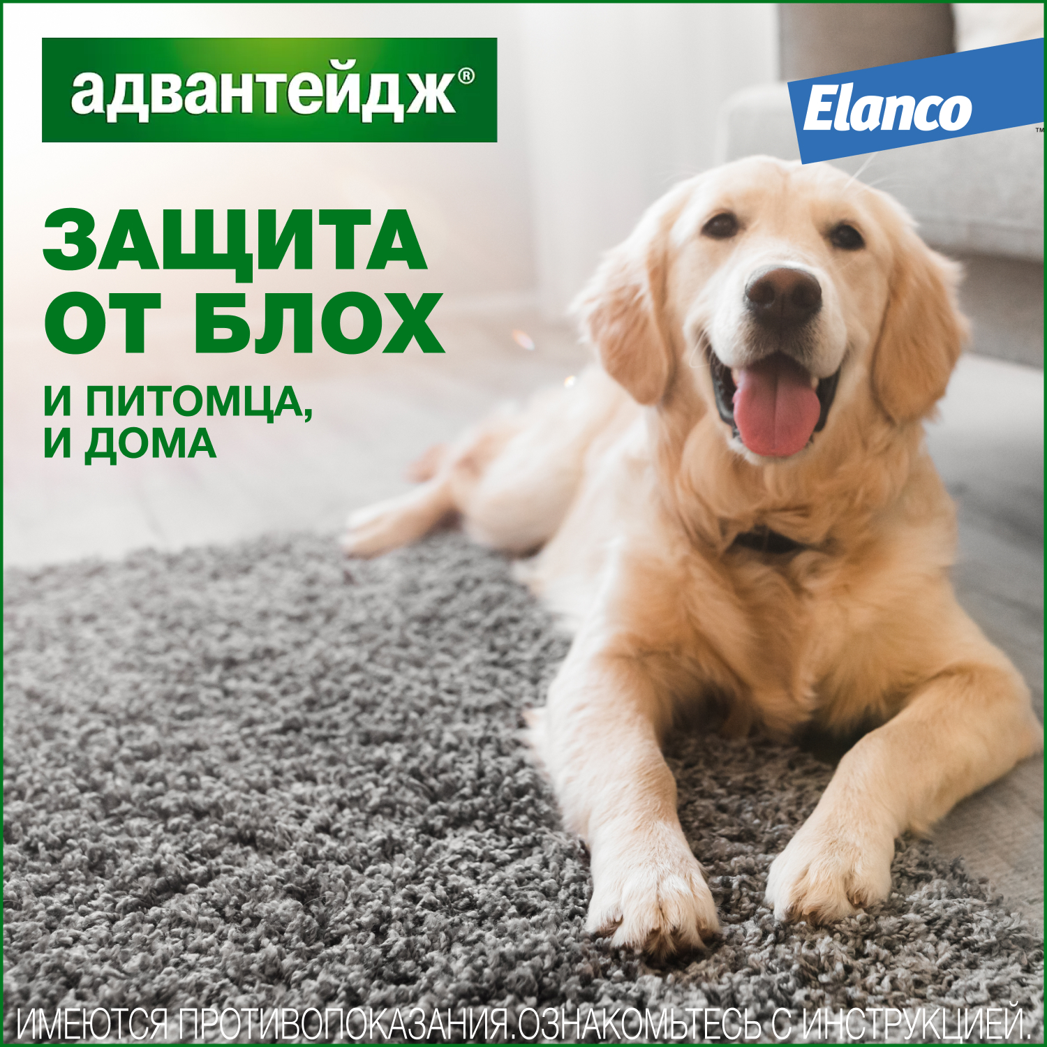 Капли для собак Elanco Адвантейдж против блох 1пипетка - фото 6