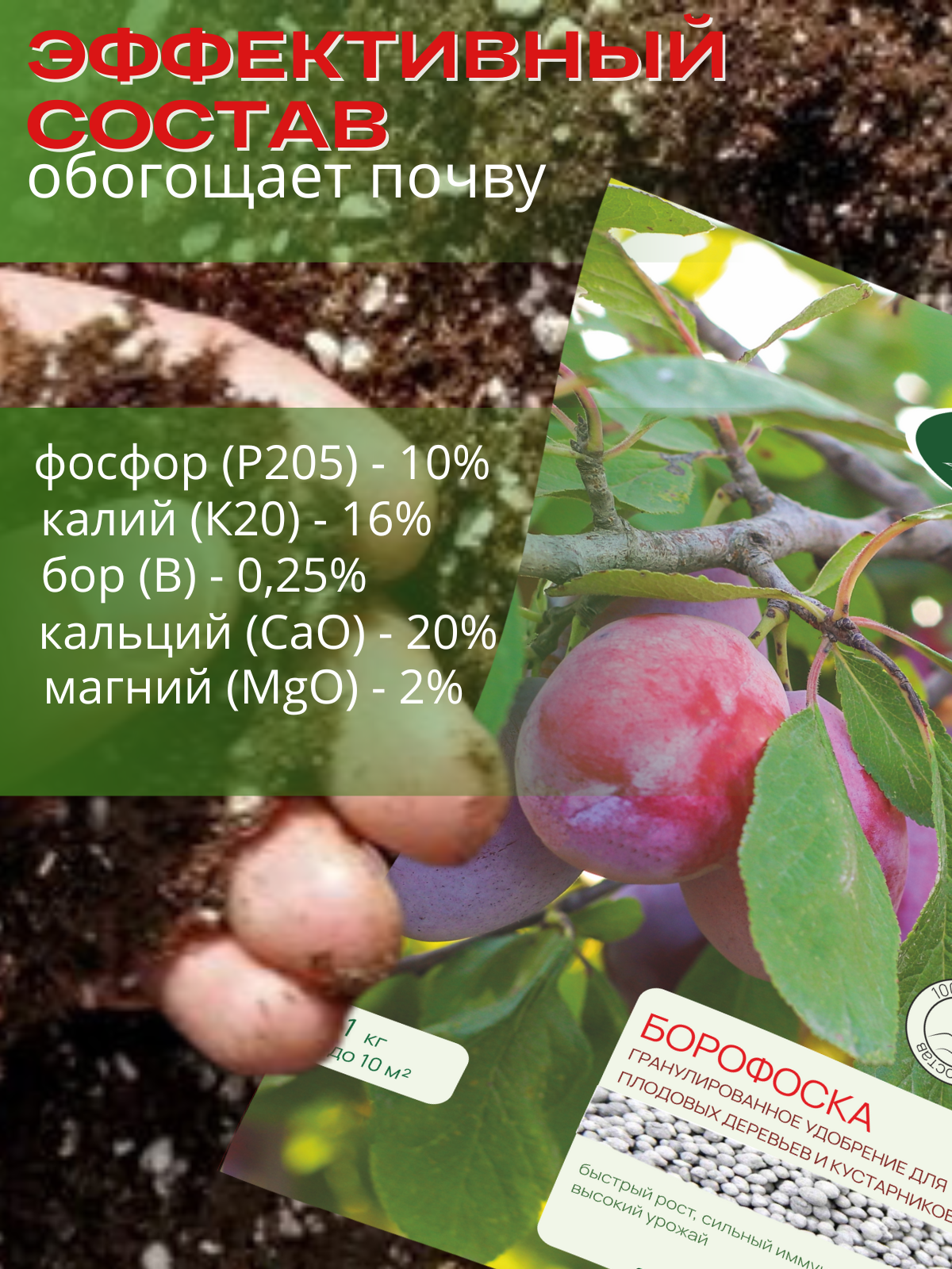 Удобрение осеннее Сельхозтрест Борофоска 1 кг - фото 5