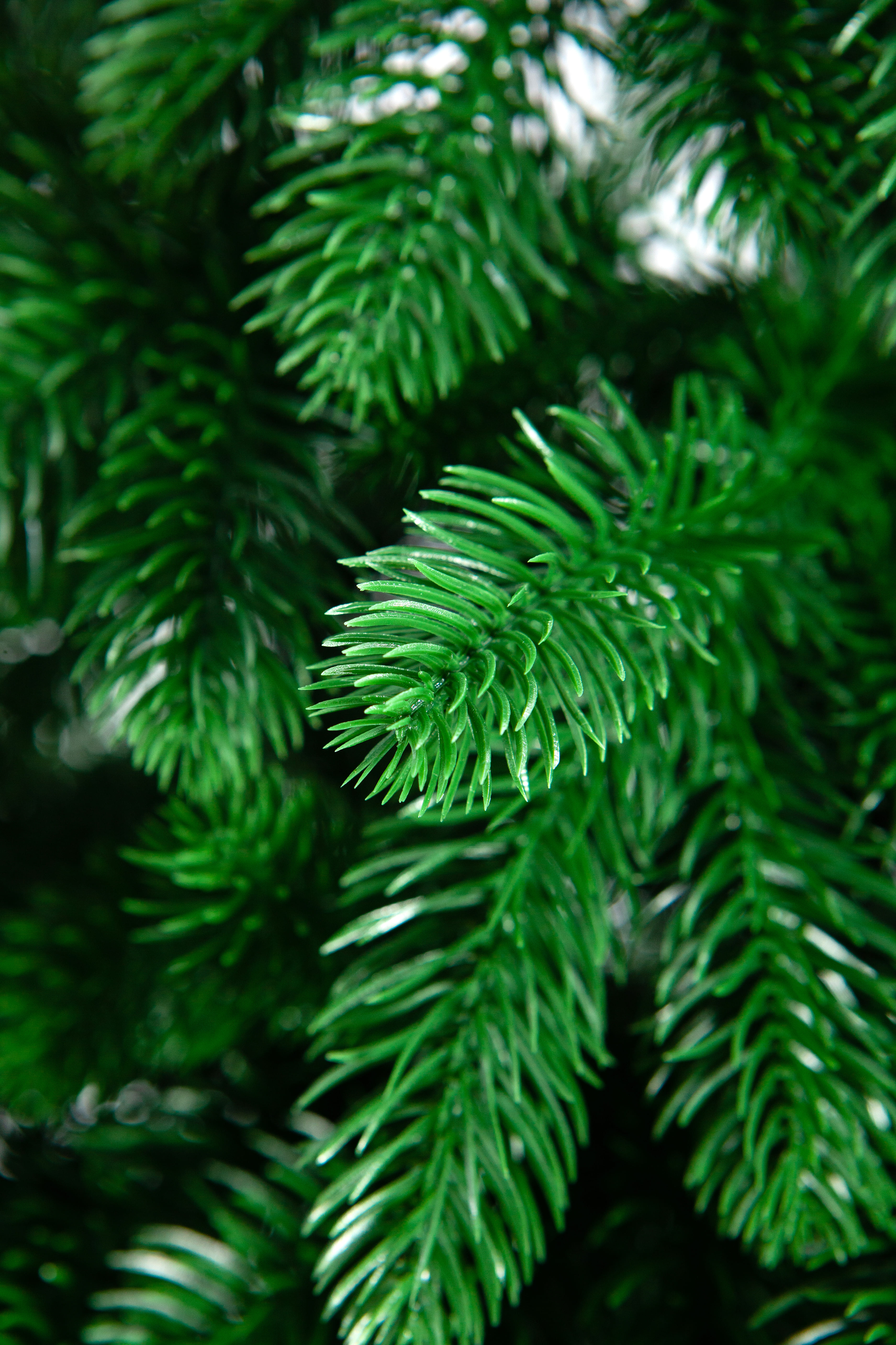 Елка Crystal Trees Валенсия 180 см - фото 2