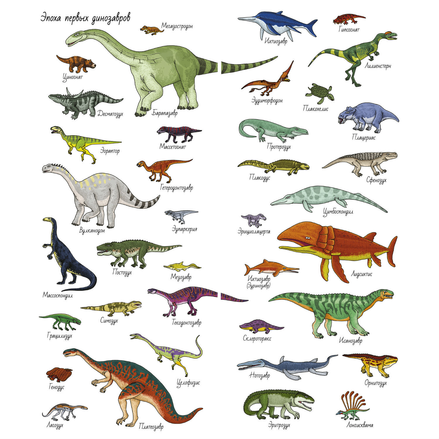 Top 10 types of dinosaurs chart ideas and inspiration