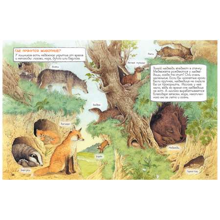 Книга Росмэн Удивительный мир животных Энциклопедия для малышей