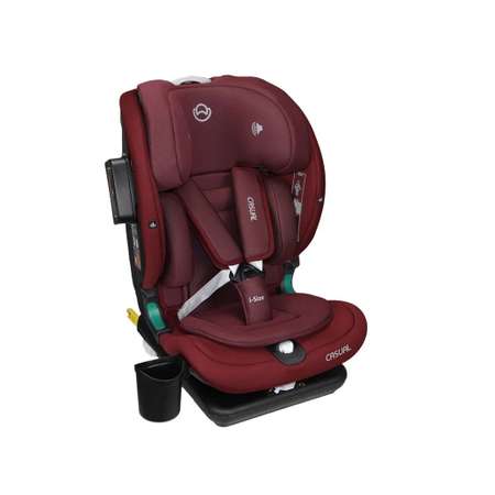 Автокресло Casual Goldfix Plus Isofix 1/2/3 (9-36 кг)