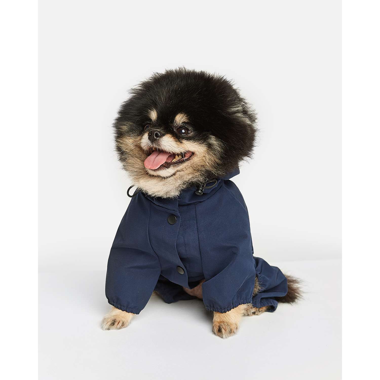 Купить одежду для собак в Перми — интернет магазин «Мой зверь»