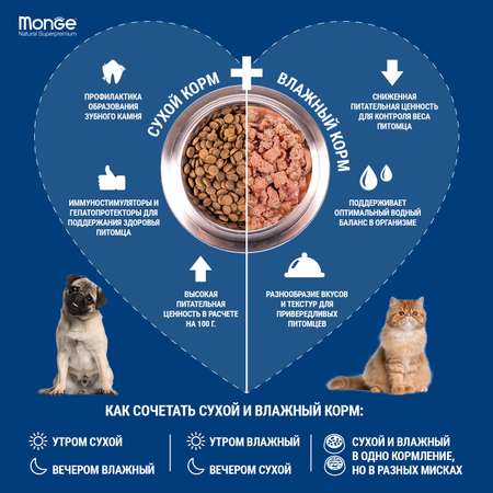 Корм для кошек MONGE Cat Grill для стерилизованных итальянская телятина пауч 85г