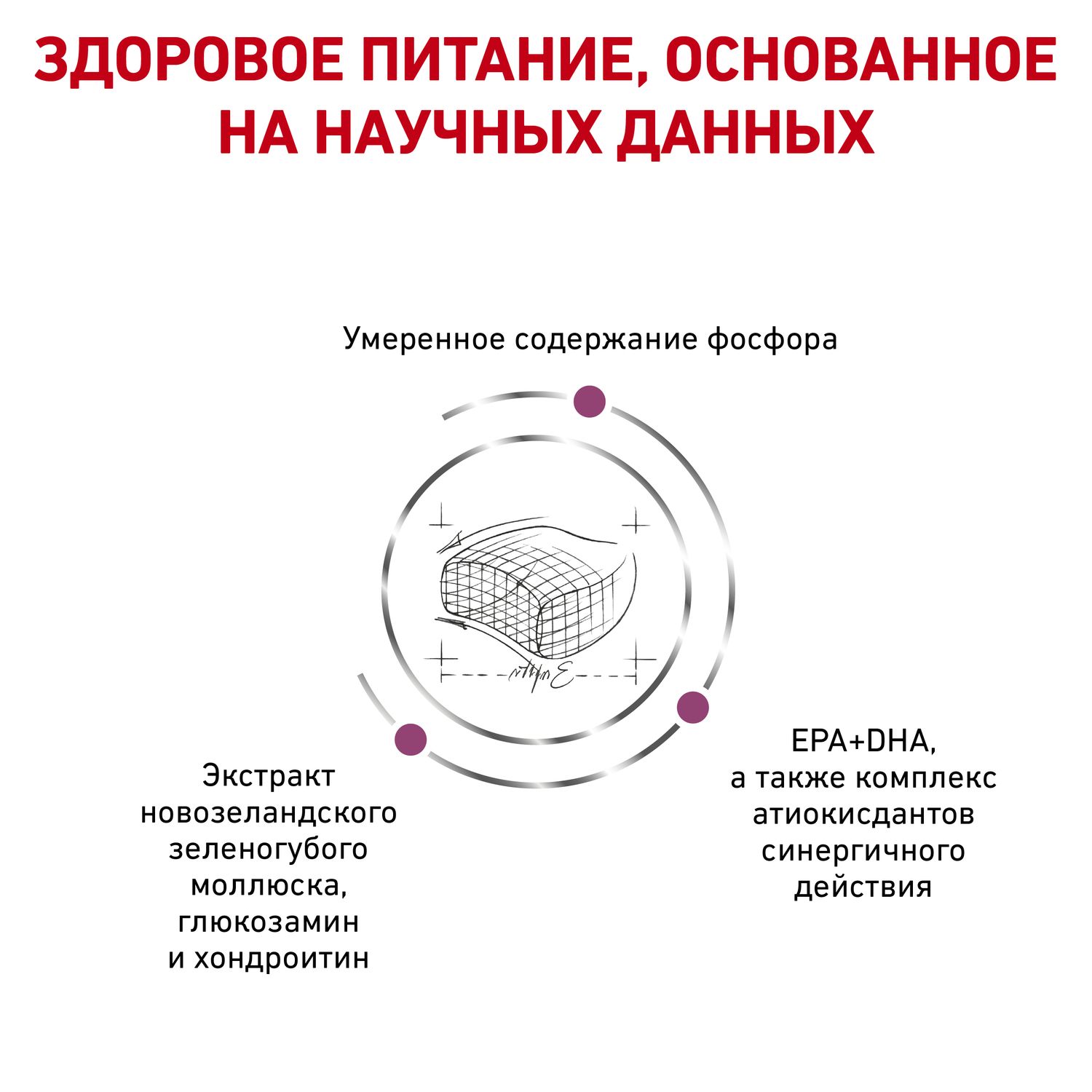 Корм для кошек ROYAL CANIN Early Renal Feline при ранней стадии почечной недостаточности 1.5кг - фото 4
