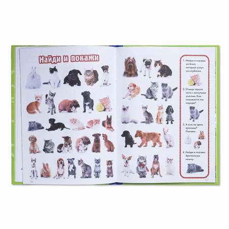 Книга АСТ Кошки и собаки Найди узнай покажи