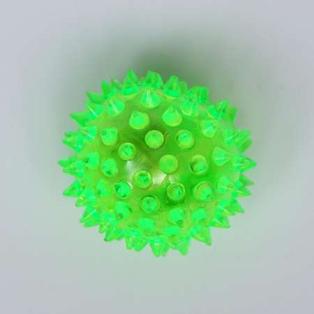 Мяч для собак Пижон светящийся в ассортименте 5.5см