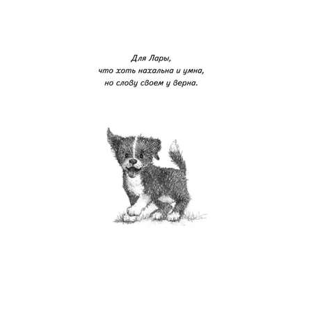 Книга Эксмо Дом мечты для Пипа Вместе навсегда Искренние и добрые рассказы о котиках и собачках