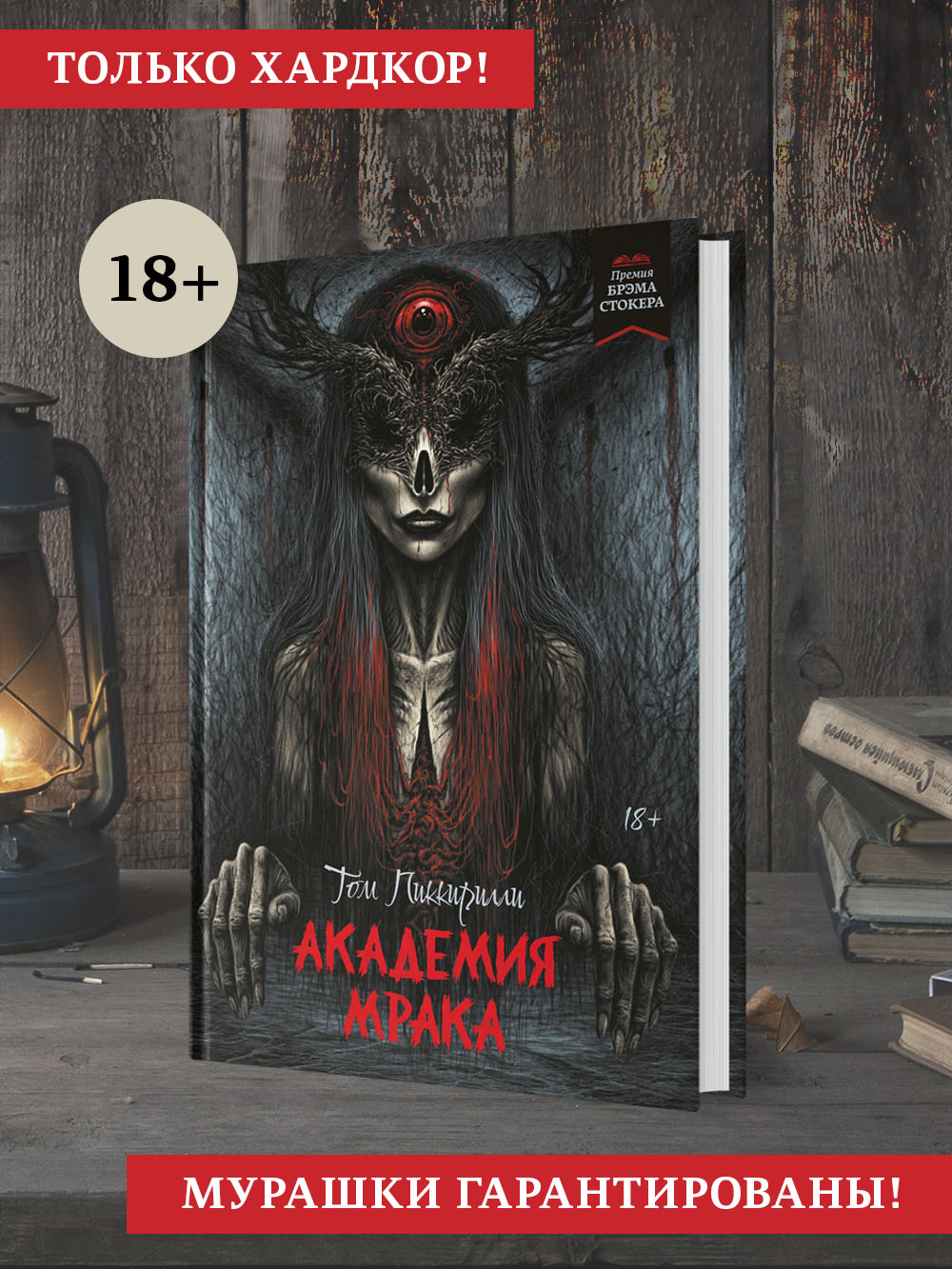 Книга Феникс Академия мрака - фото 3