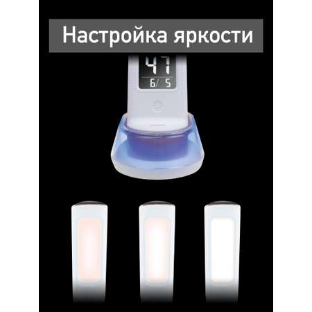 530-DL Светильник Dendy White Snake+RGB