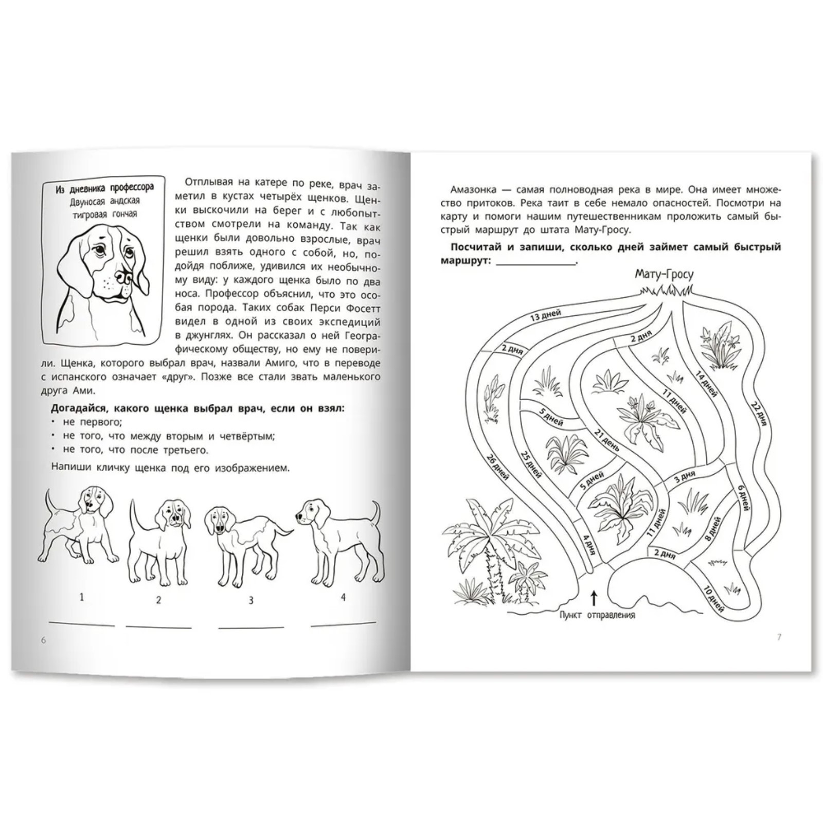 Книга Буква-ленд Развите мышления и внимания у младших школьников - фото 4