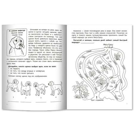 Книга Буква-ленд Развите мышления и внимания у младших школьников