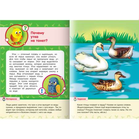 Комплект книг Hatber Почемучка Малышам о животных Малышам о птицах 2 шт