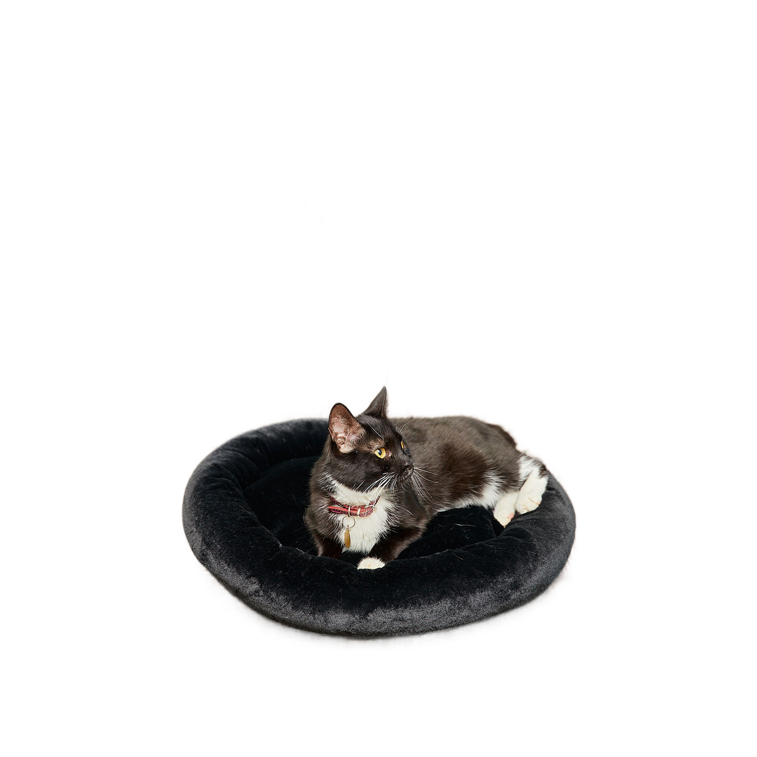 Лежанка для кошек и собак Pet БМФ Черный - фото 1