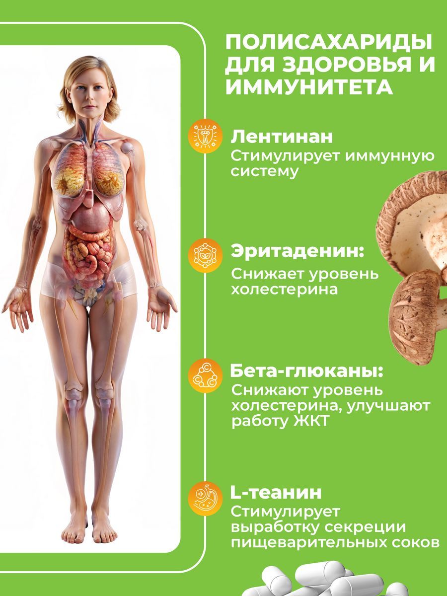 Натуральный комплекс Bionormula Шиитаке для улучшения пищеварения и иммунитета, 60 капсул - фото 6