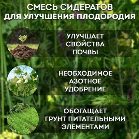 Смесь семян сидератов Зеленый уголок для улучшения плодородия почвы 3 кг