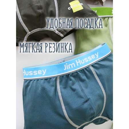 Трусы 4 шт Jim Hussey